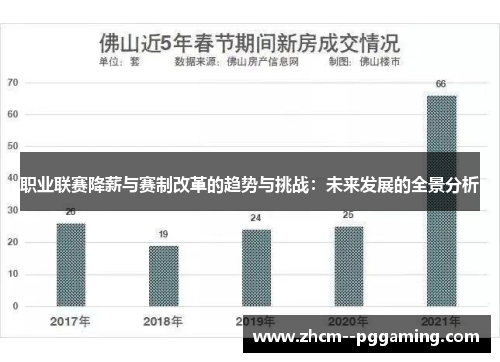 职业联赛降薪与赛制改革的趋势与挑战：未来发展的全景分析