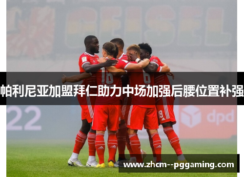 帕利尼亚加盟拜仁助力中场加强后腰位置补强