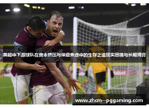 英超中下游球队在资本挤压与保级焦虑中的生存之道现实困境与长期博弈 英超中下游球队在资本挤压与保级焦虑中的生存之道现实困境与长期博弈